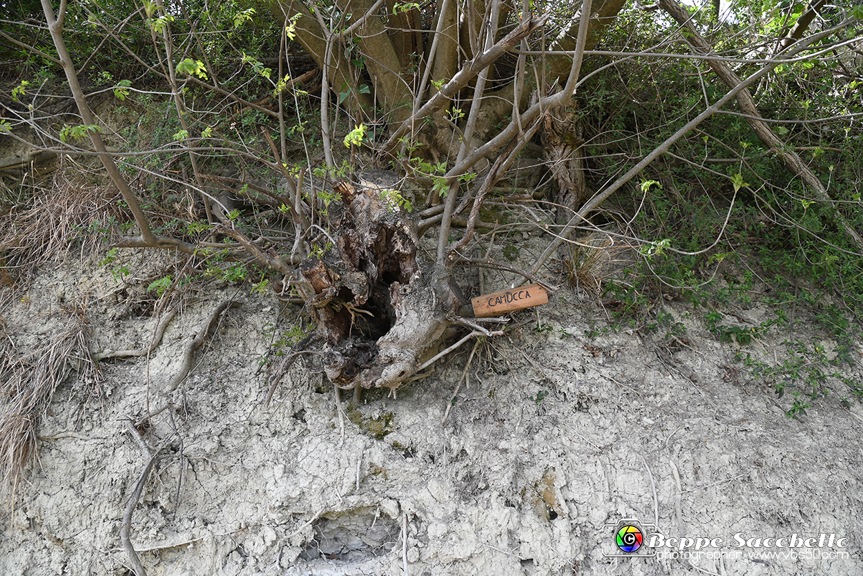VBS_3164 - Mango (Cuneo) - Gnomovia.jpg